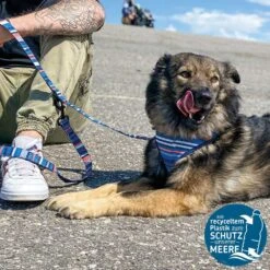 SOS Hondenriem -Benodigdheden Voor Huisdieren Winkel 0840091 2