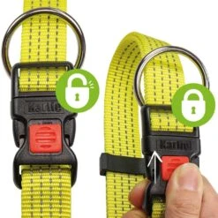 Neon & Reflex Hondenhalsband 7 Neon & Reflex Hondenhalsband -Benodigdheden Voor Huisdieren Winkel 0840096 2