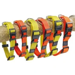 Neon & Reflex Hondenhalsband 9 Neon & Reflex Hondenhalsband -Benodigdheden Voor Huisdieren Winkel 0840096 4
