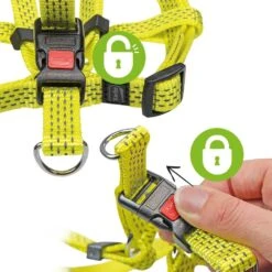 Neon & Reflex Hondentuigje 8 Neon & Reflex Hondentuigje -Benodigdheden Voor Huisdieren Winkel 0840097 3