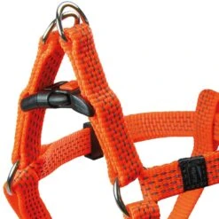 Neon & Reflex Hondentuigje 9 Neon & Reflex Hondentuigje -Benodigdheden Voor Huisdieren Winkel 0840097 4