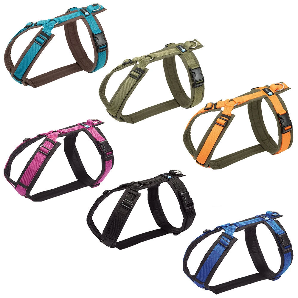 Annyx Fun-tuigje 4 Annyx Fun-tuigje - Afbeelding 4