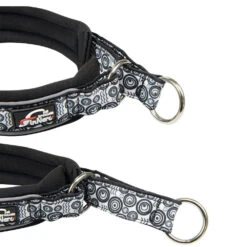 Benodigdheden Voor Huisdieren Winkel -Benodigdheden Voor Huisdieren Winkel 0840119 1