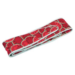 Koelhalsband Meloen -Benodigdheden Voor Huisdieren Winkel 0840130 2