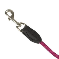 Riem Van Nylon Touw -Benodigdheden Voor Huisdieren Winkel 0840132 3