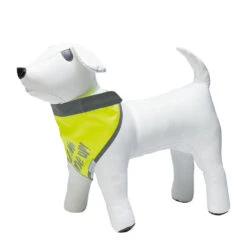 Beeztees Hondenveiligheidssjaaltje Chiny -Benodigdheden Voor Huisdieren Winkel 0840136 2