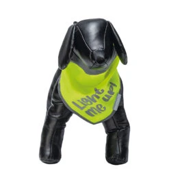 Beeztees Hondenveiligheidssjaaltje Chiny -Benodigdheden Voor Huisdieren Winkel 0840136 3