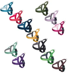 Noors Tuig Classic Preno -Benodigdheden Voor Huisdieren Winkel 0840142 3