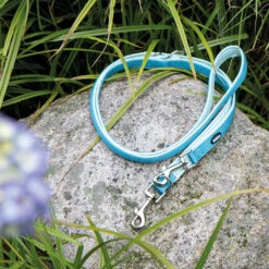 Riem Classic Preno -Benodigdheden Voor Huisdieren Winkel 0840143 4