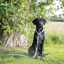 Soft Rope-verlengingslijn -Benodigdheden Voor Huisdieren Winkel 0840144 2
