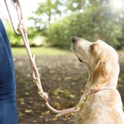 Soft Rope-verlengingslijn -Benodigdheden Voor Huisdieren Winkel 0840144 3