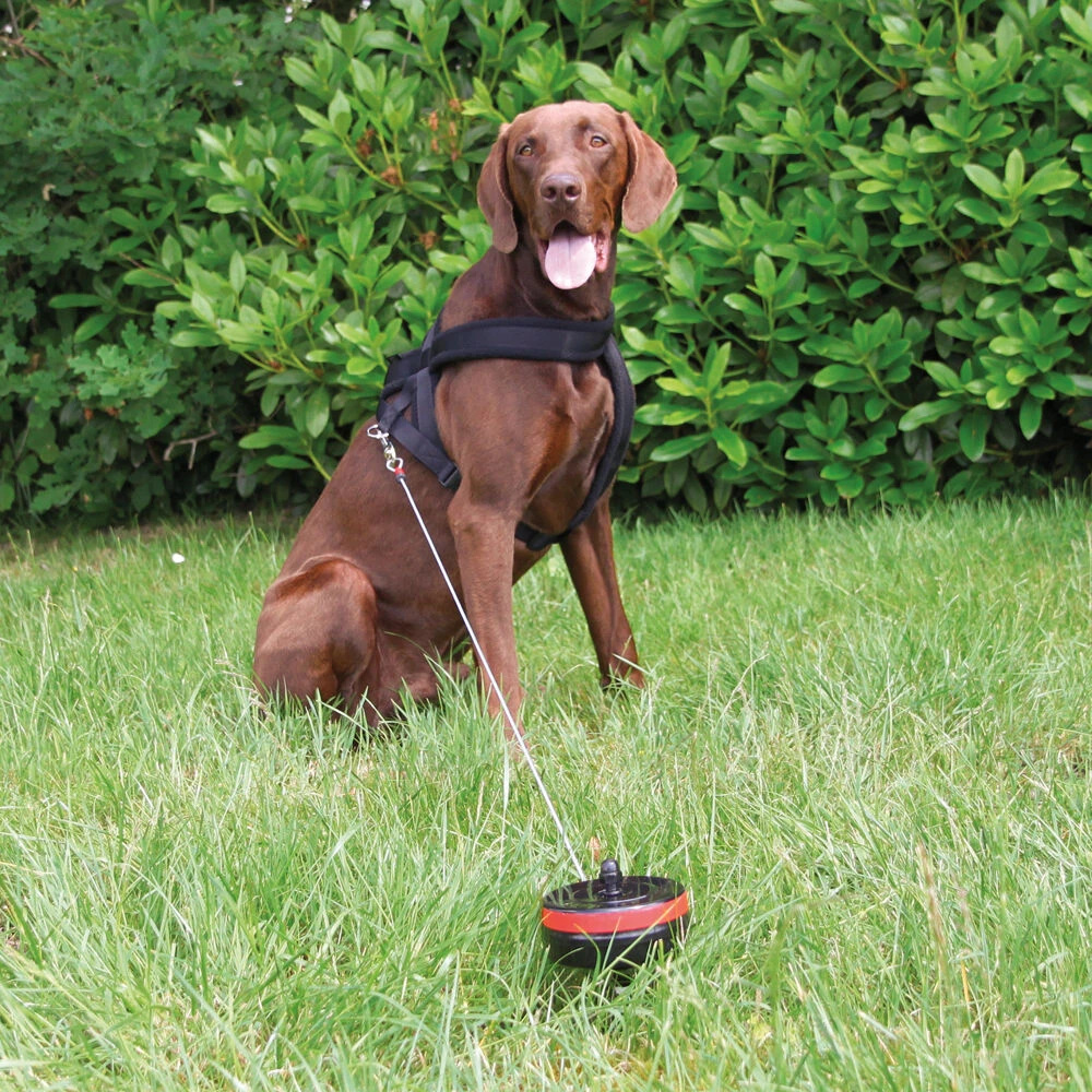 'Rollijn Met Grondpen' 2 'Rollijn Met Grondpen' - Afbeelding 2