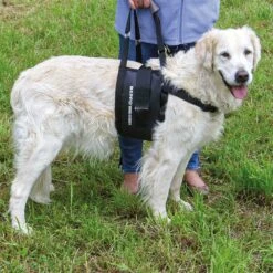 Beppo® Hondenloophulp One-Size -Benodigdheden Voor Huisdieren Winkel 087055 4