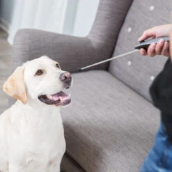 Trixie Targetstick Met Clicker -Benodigdheden Voor Huisdieren Winkel 087090 2