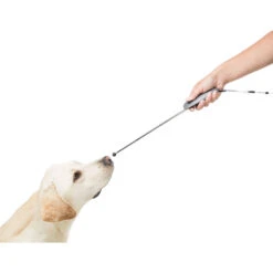 Trixie Targetstick Met Clicker -Benodigdheden Voor Huisdieren Winkel 087090 3