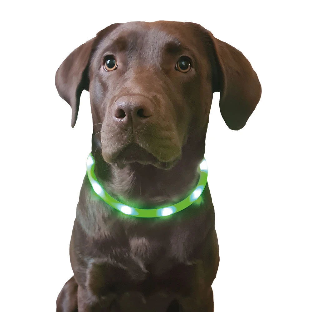 LED-lichtslang 2 LED-lichtslang - Afbeelding 2