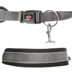 Buikriem Met Lijn -Benodigdheden Voor Huisdieren Winkel 090059 2