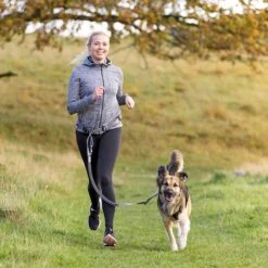 Buikriem Met Lijn -Benodigdheden Voor Huisdieren Winkel 090059 3