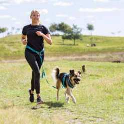 Buikriem Met Lijn -Benodigdheden Voor Huisdieren Winkel 090059 4