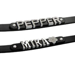 MyName Leren Riem, Zwart 5 MyName Leren Riem, Zwart -Benodigdheden Voor Huisdieren Winkel 090932 2