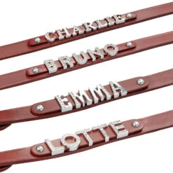 MyName Leren Riem, Rood 7 MyName Leren Riem, Rood -Benodigdheden Voor Huisdieren Winkel 090933 3