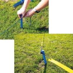 Longeerset Voor Honden 8 Longeerset Voor Honden -Benodigdheden Voor Huisdieren Winkel 974133 3