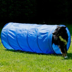 Dog Agility Start-set -Benodigdheden Voor Huisdieren Winkel 974185 2