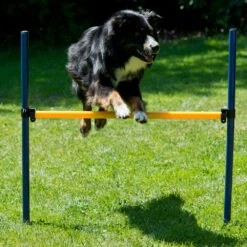 Dog Agility Start-set -Benodigdheden Voor Huisdieren Winkel 974185 4