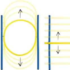 Dog Agility-set S/M -Benodigdheden Voor Huisdieren Winkel 974187 3