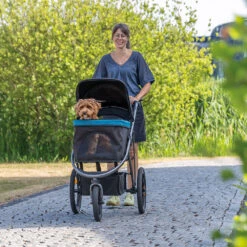 Hondenbuggy L -Benodigdheden Voor Huisdieren Winkel 974213 3