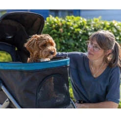 Hondenbuggy L -Benodigdheden Voor Huisdieren Winkel 974213 4