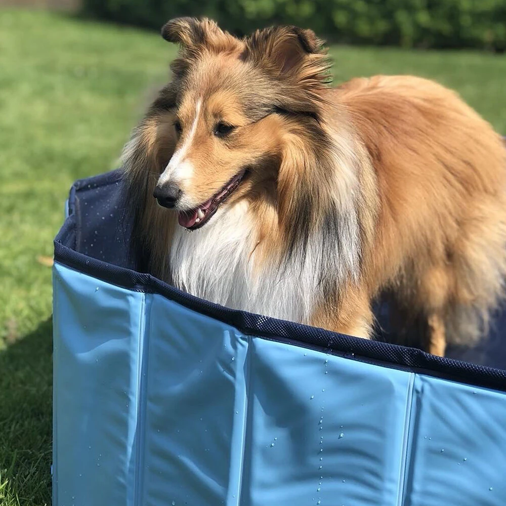 Doggy-Pool 2 Doggy-Pool - Afbeelding 2