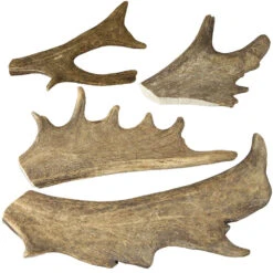 DOGREFORM Damhert-gewei-snack