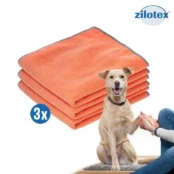 Doggy Blanket Potendoek