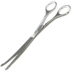 Gebogen Hondenschaar, Groot