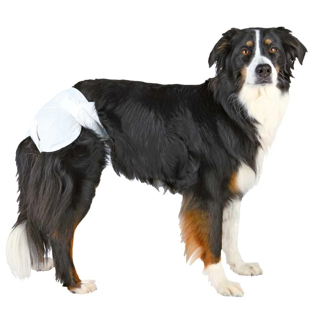 Hondenluiers (teef) 1 Hondenluiers (teef)