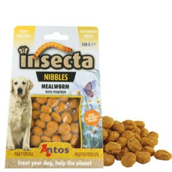 Insecta Nibbles Mealworm (meelworm & Pompoen)