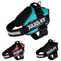 Julius-K9® IDC® Powergeschirr®