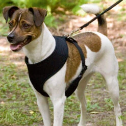 Mesh Original Licht Hondentuigje