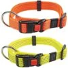 Neon & Reflex Hondenhalsband
