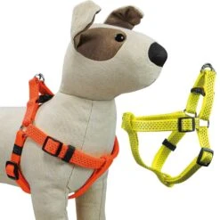 Neon & Reflex Hondentuigje