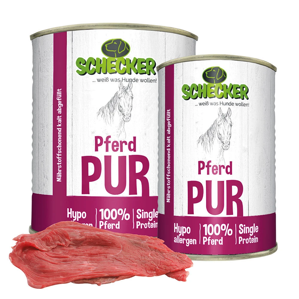 Paard Puur 1 Paard Puur