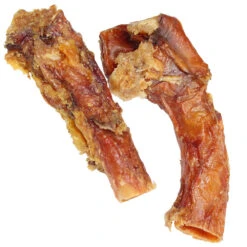 Paardenaorta (paardenhart)