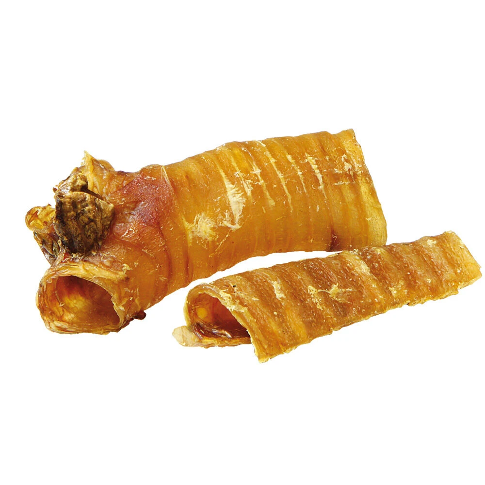 Paardenluchtpijp 1 Paardenluchtpijp