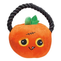 Pompoen Met Katoenen Touw