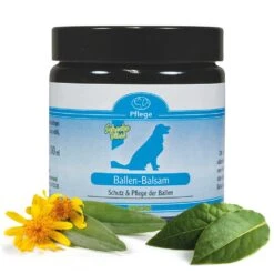 Karlie Schecko-Vital Wellness-voetbalsem Met Arnica En Laurier