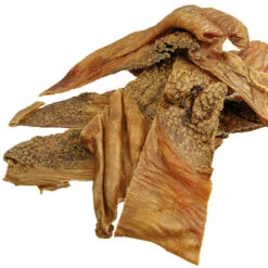 Spiermaag Van De Struisvogel