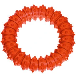 Karlie Tandverzorging Zwemring