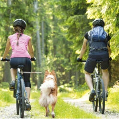Walky-Dog Plus, De Derde Hand Aan De Fiets
